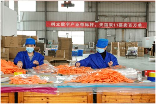 從“網(wǎng)紅”到“長紅” 義烏小商品與國民美食共繪中國消費新圖景